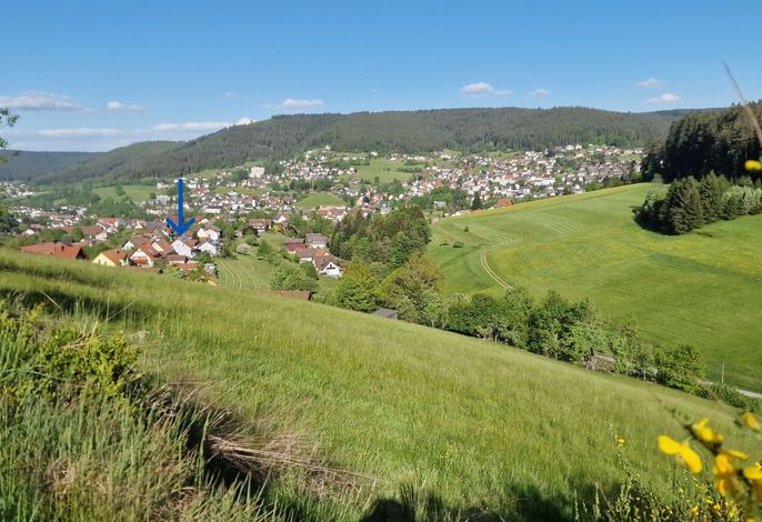 Schwarzwald Idylle