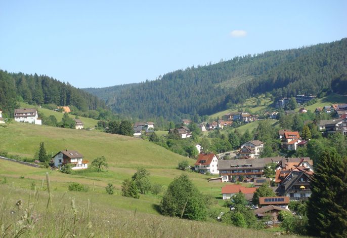 Bild 12