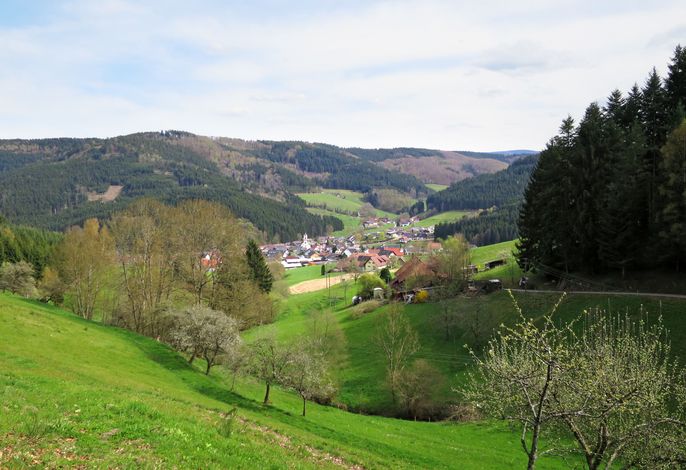 Bild 13
