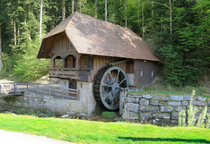 Bild 15