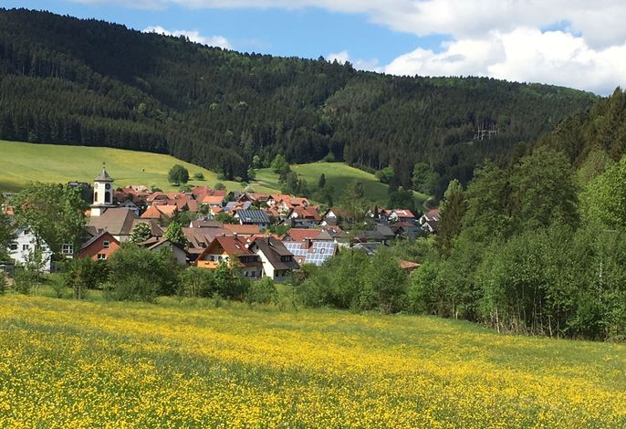 Bild 18