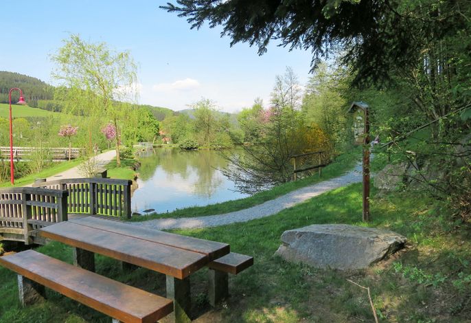 Bild 14
