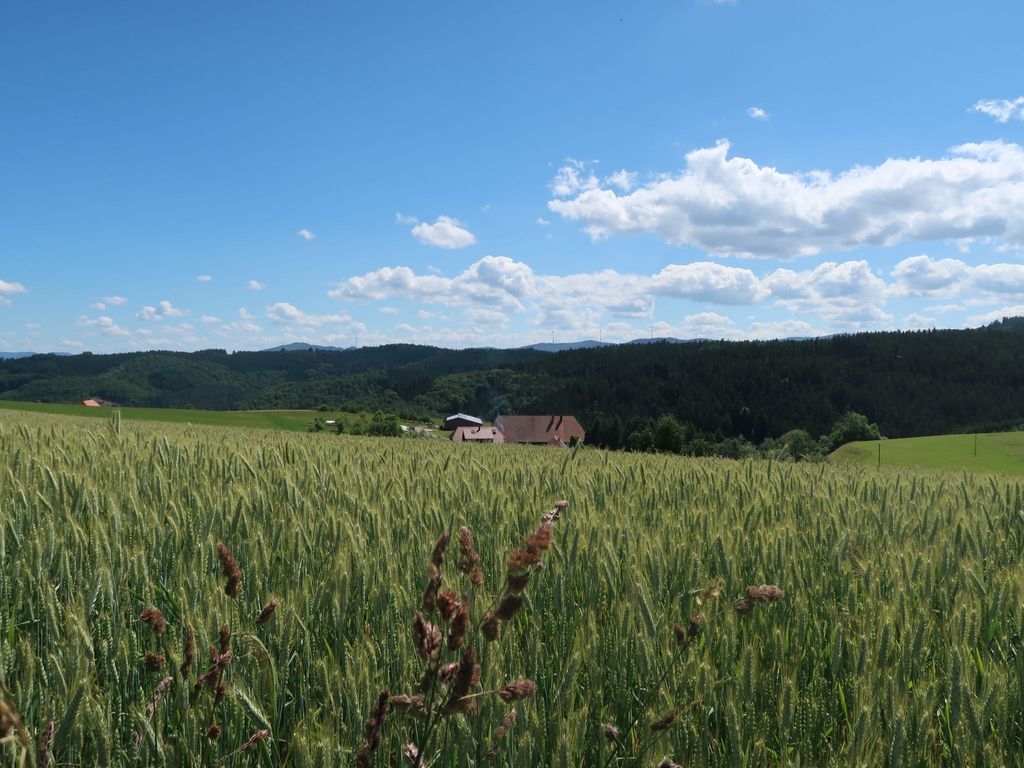 Mittelberghof