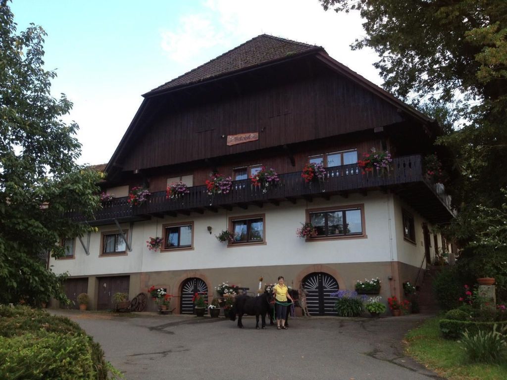 Wohnung in Unterharmersbach mit Garten und Grill