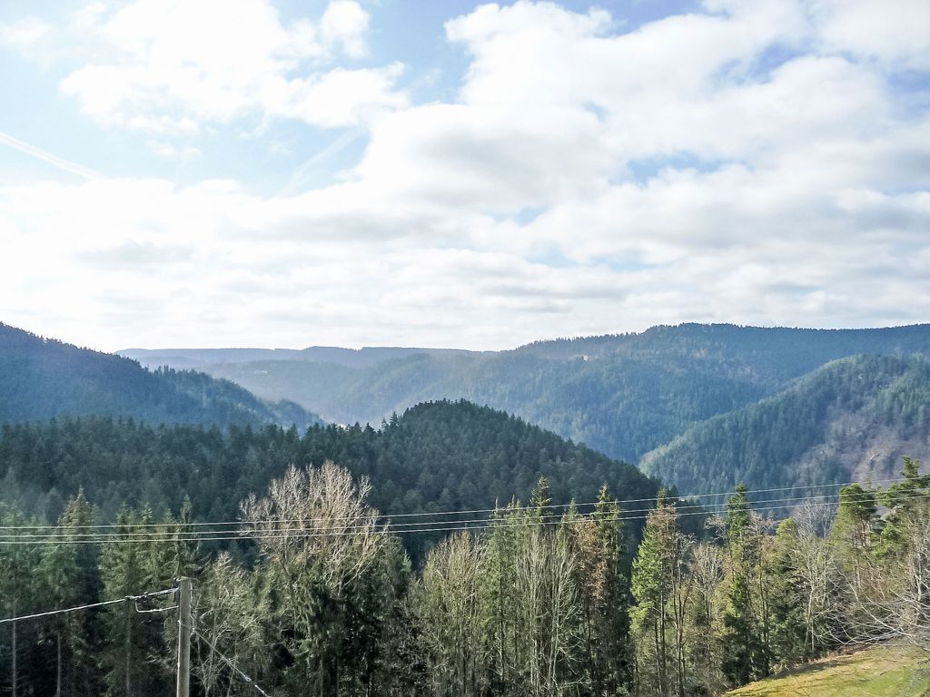 Spatzennest
