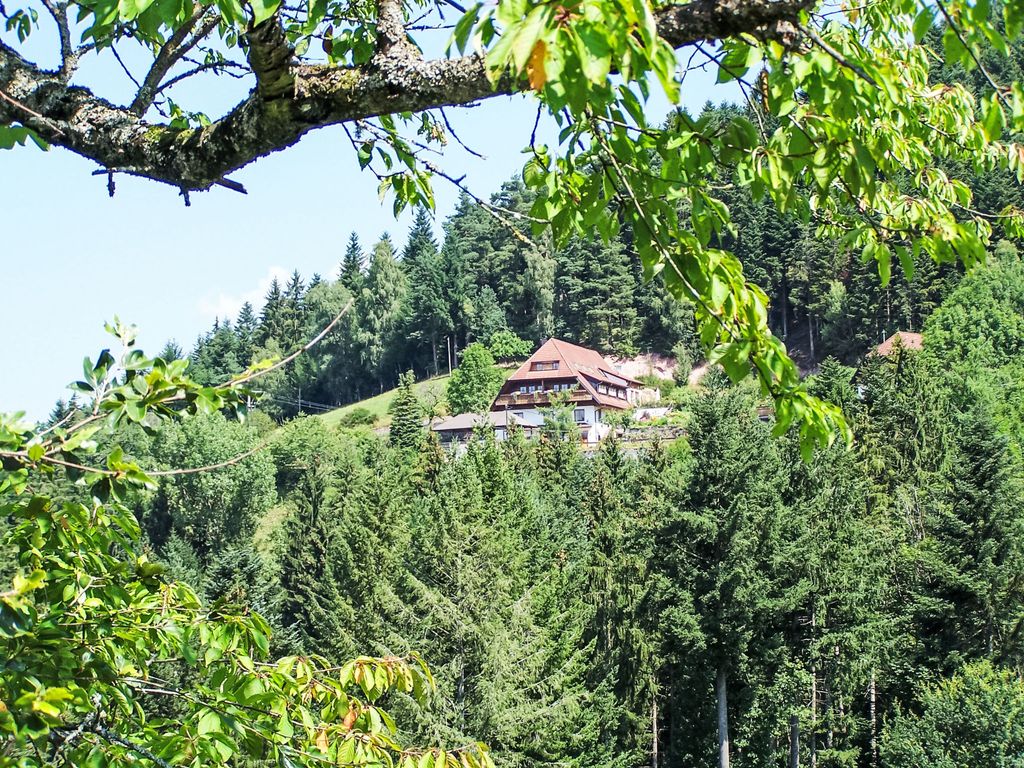 Spatzennest