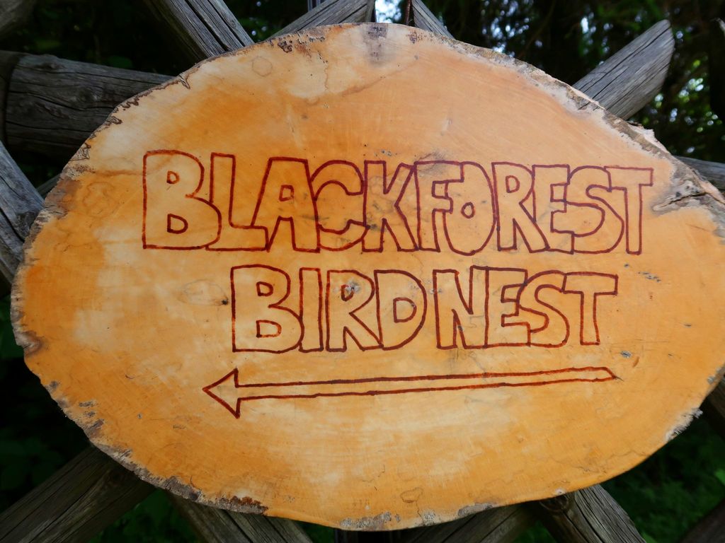 Blackforest Birdnest