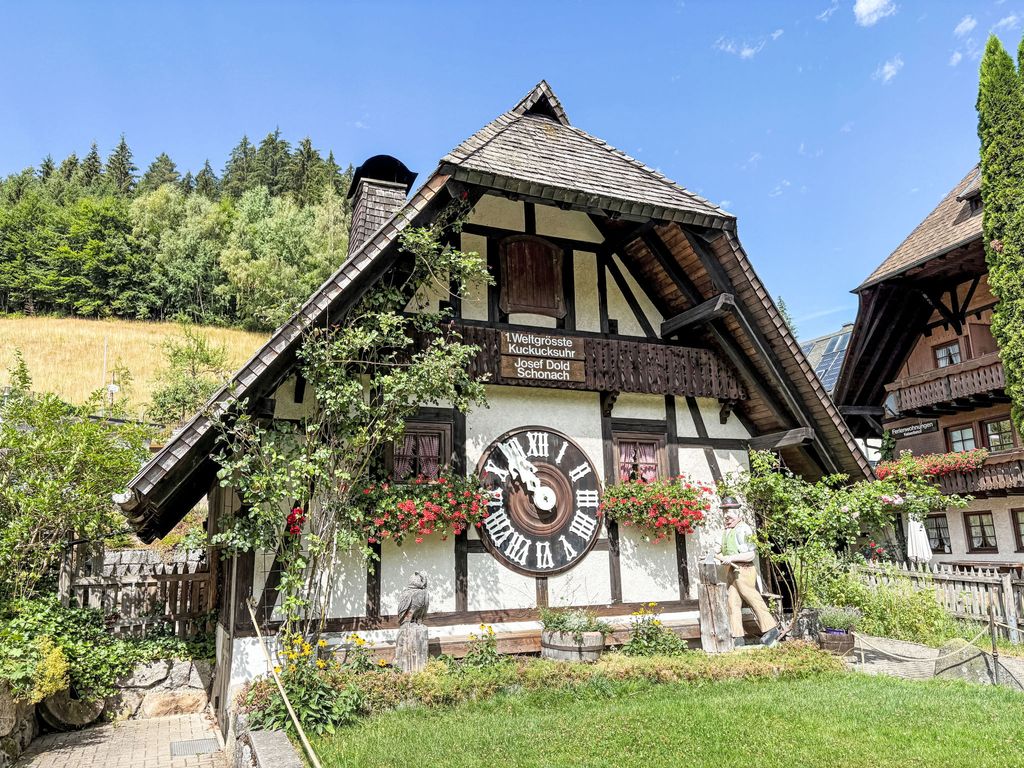 Schwarzwaldblick