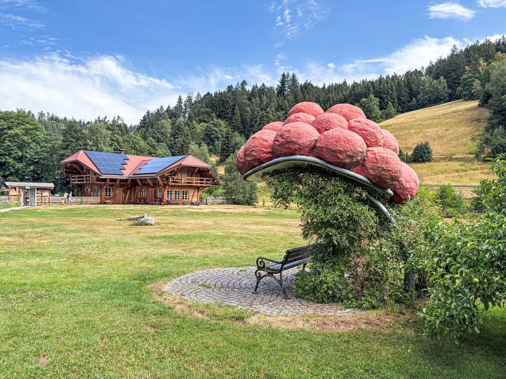 Schwarzwaldblick