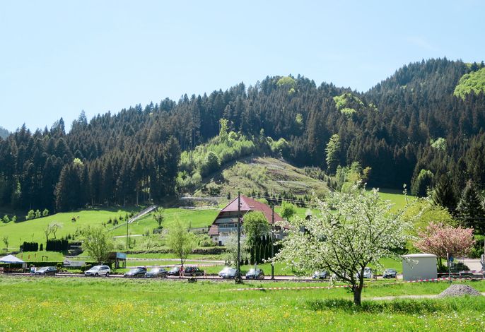 Bild 5