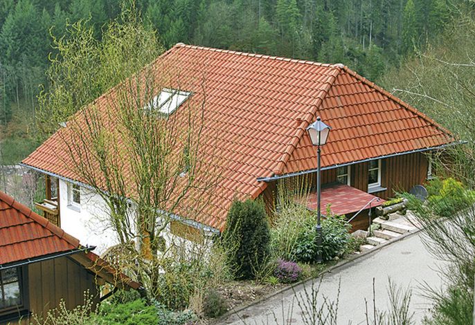 Hauptbild