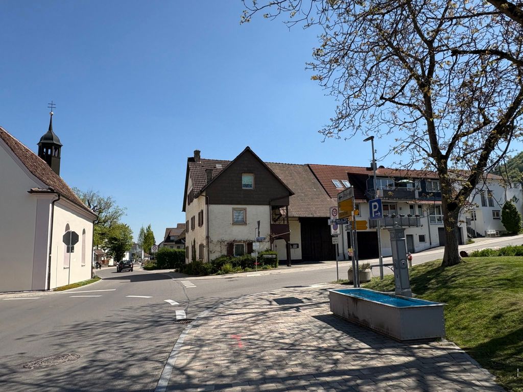 Sonnige Aussichten - Obstbau Koch