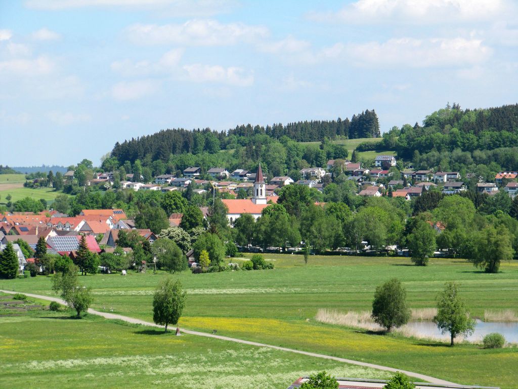 Riedblick I