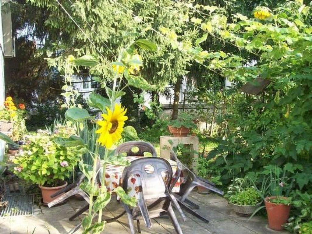 Appartement in Schelingen mit Garten und Grill