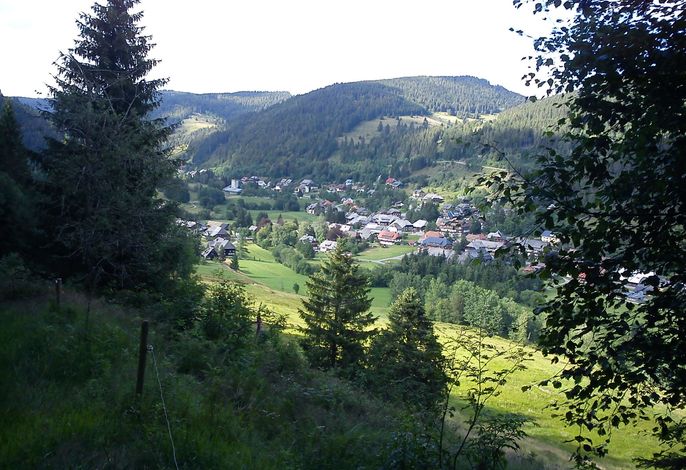Bild 16
