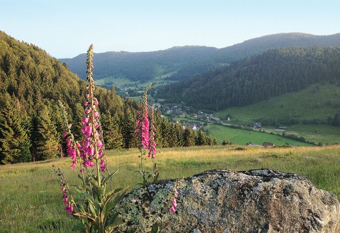Bild 14
