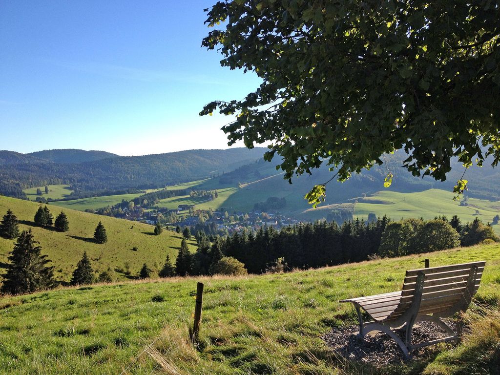 Schwarzwaldblick VI
