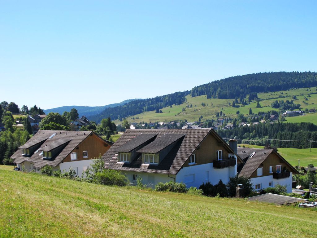 Schwarzwaldblick I