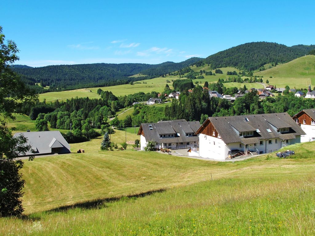 Schwarzwaldblick I