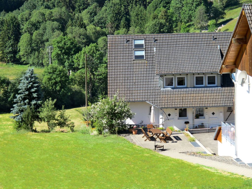 Schwarzwaldblick VI