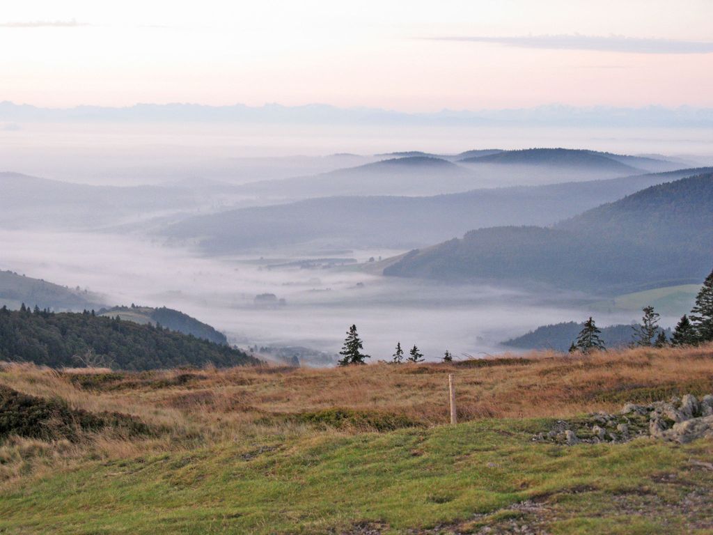 Schwarzwaldblick VI