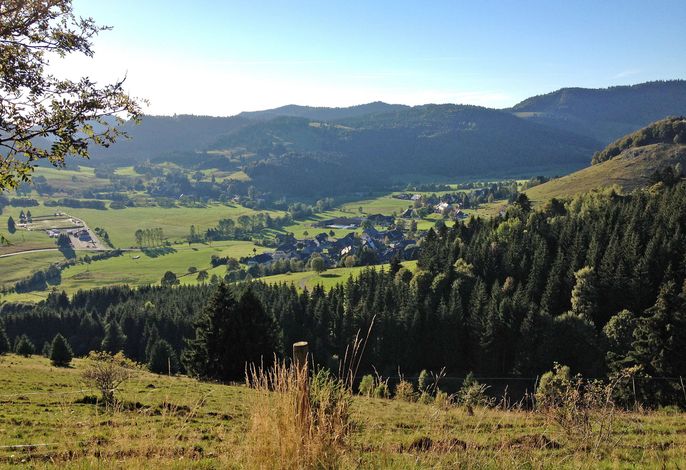 Bild 19
