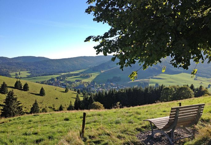 Bild 18