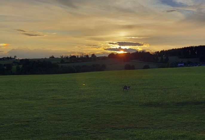 Bild 22