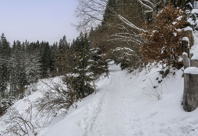 Bild 14