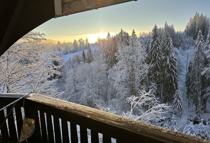 Bild 16