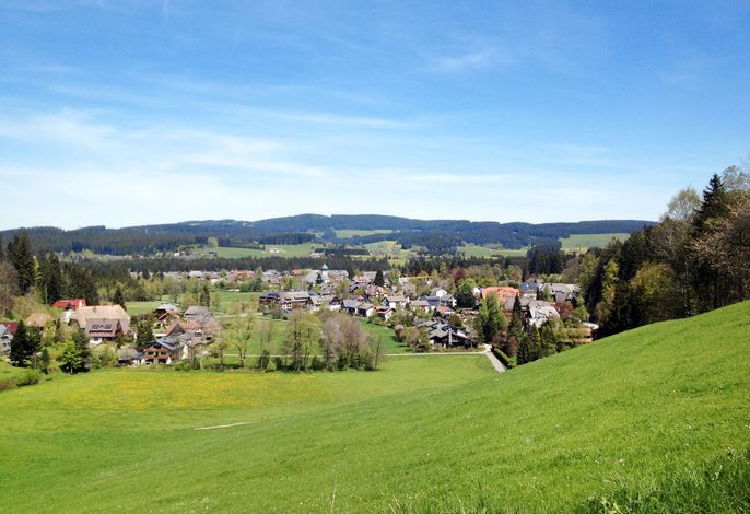Bild 17
