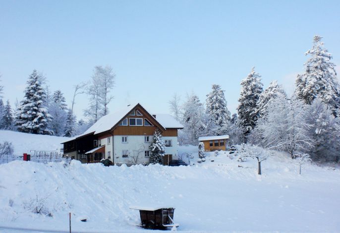 Bild 7