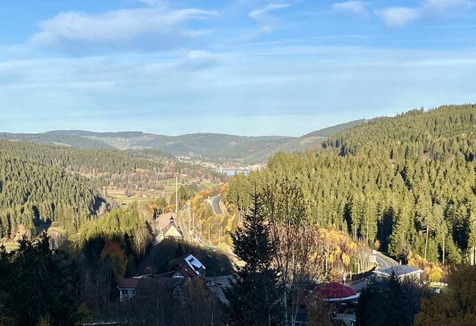 Falkennest - mit Blick auf den Titisee