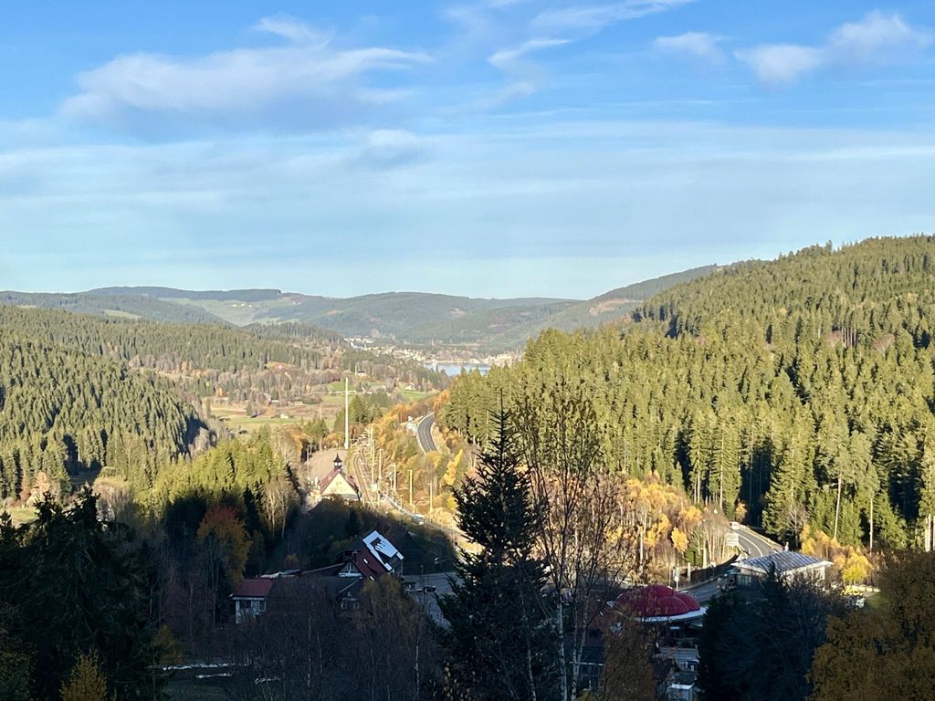 Falkennest - mit Blick auf den Titisee