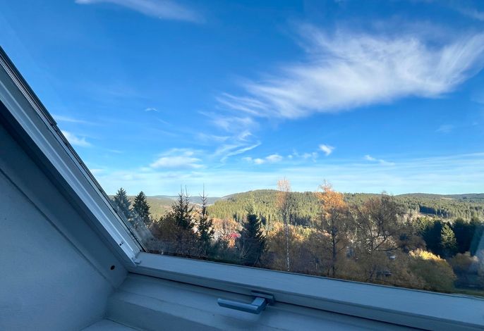 Falkennest - mit Blick auf den Titisee – Foto 2