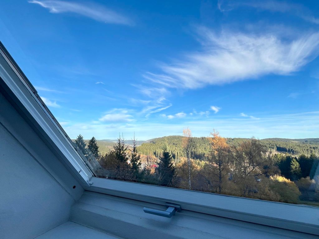 Falkennest - mit Blick auf den Titisee