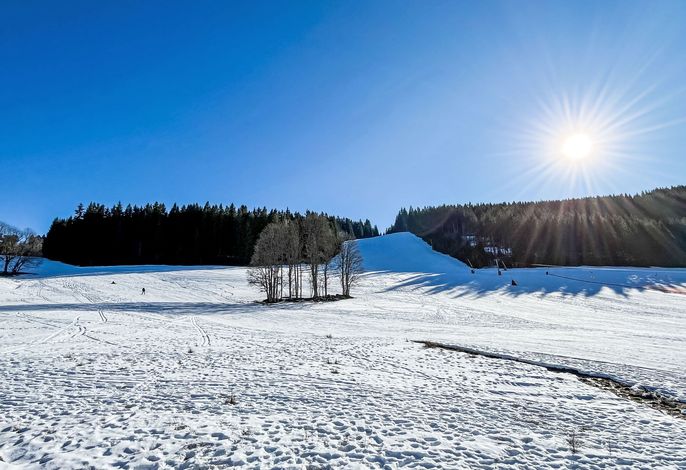 Bild 15