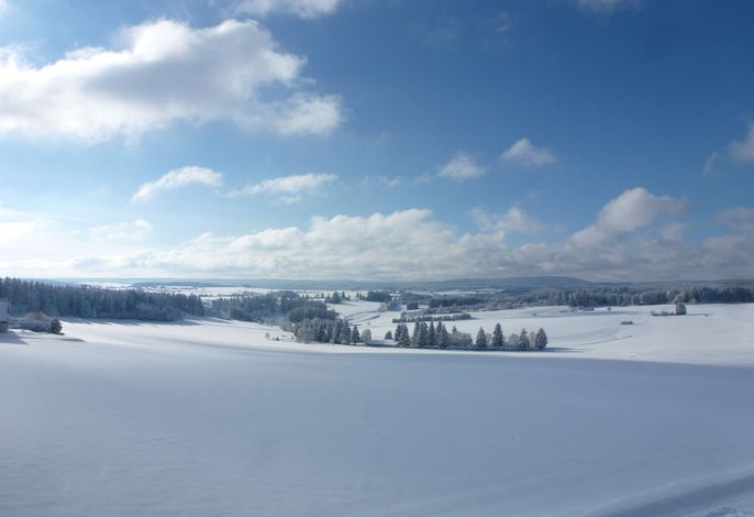 Bild 14