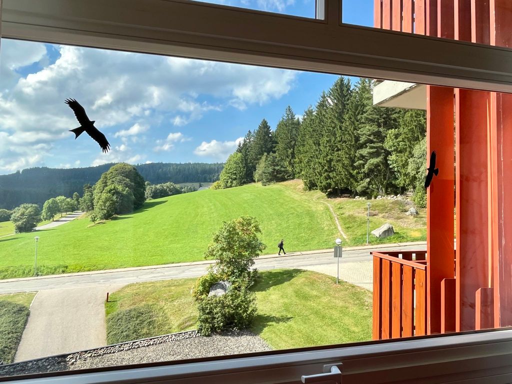 Schöne Aussicht (App 1406 / EX-Kurhotel)