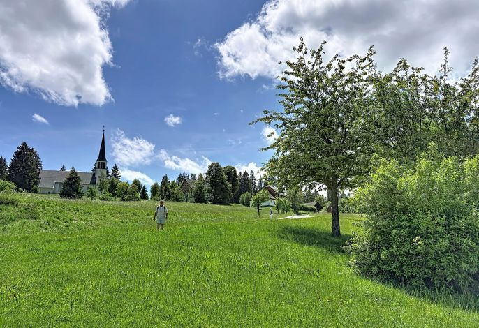 Bild 16