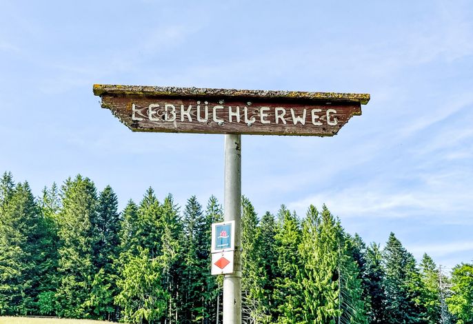 Bild 17