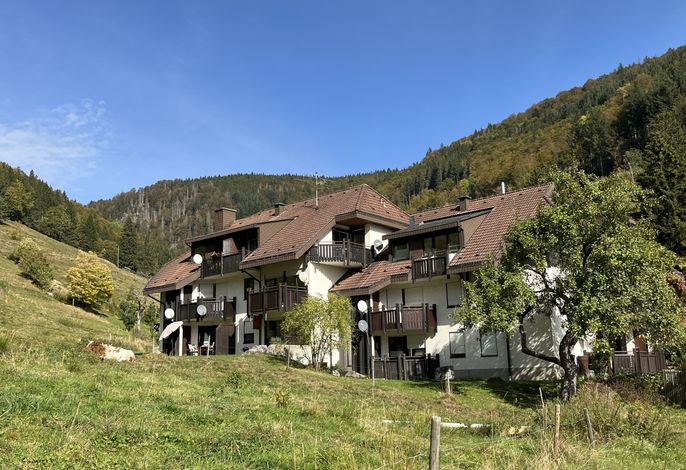 Bild 2