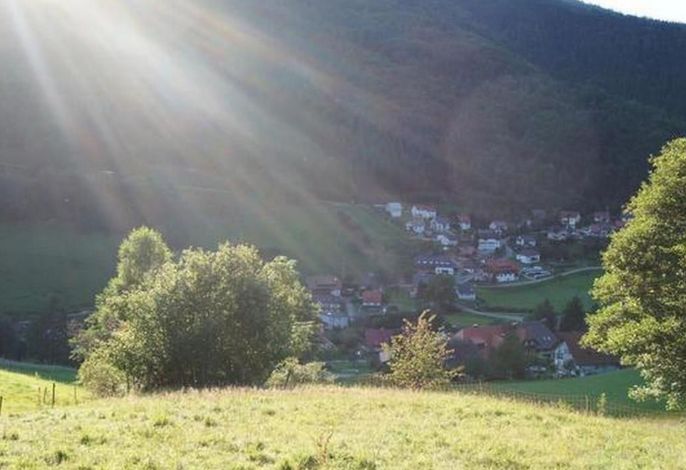 Bild 12