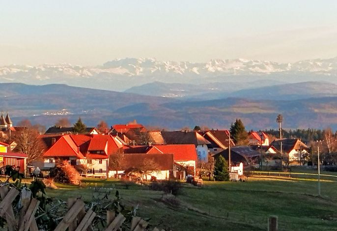 Bild 13