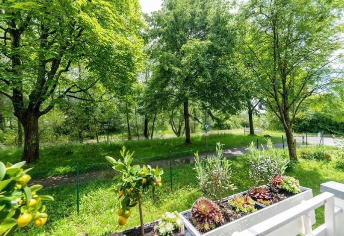 Traum Wohnung direkt am Bodensee mit Seesicht – Foto 3