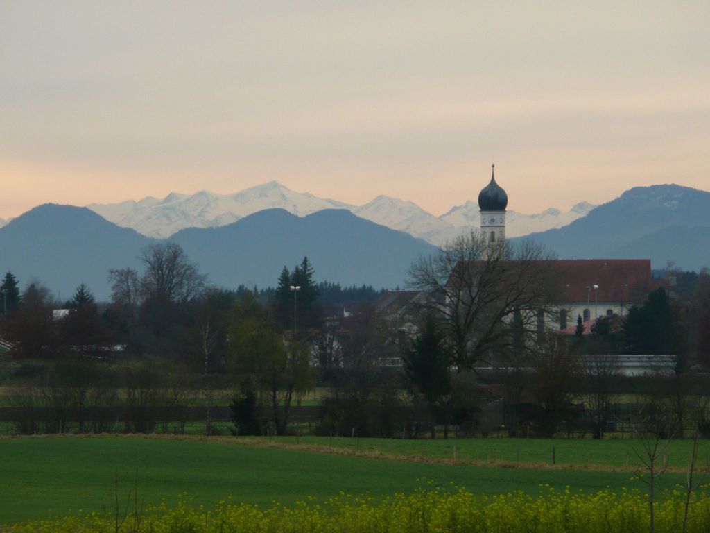 Grafing