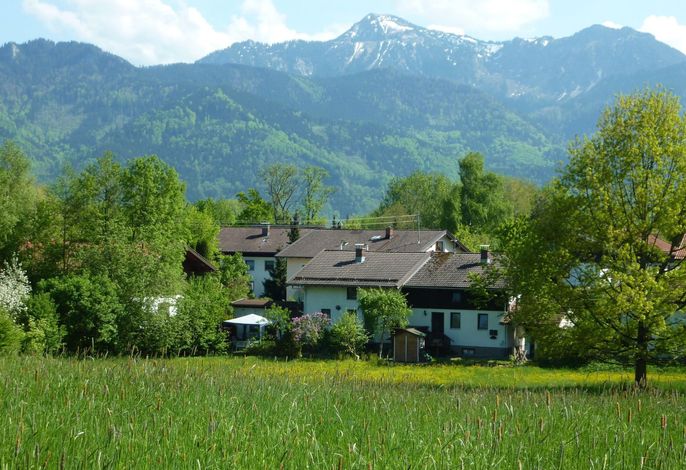 Bild 7