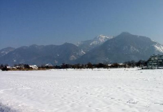 Bild 7