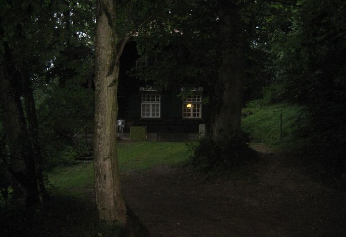 Bild 7