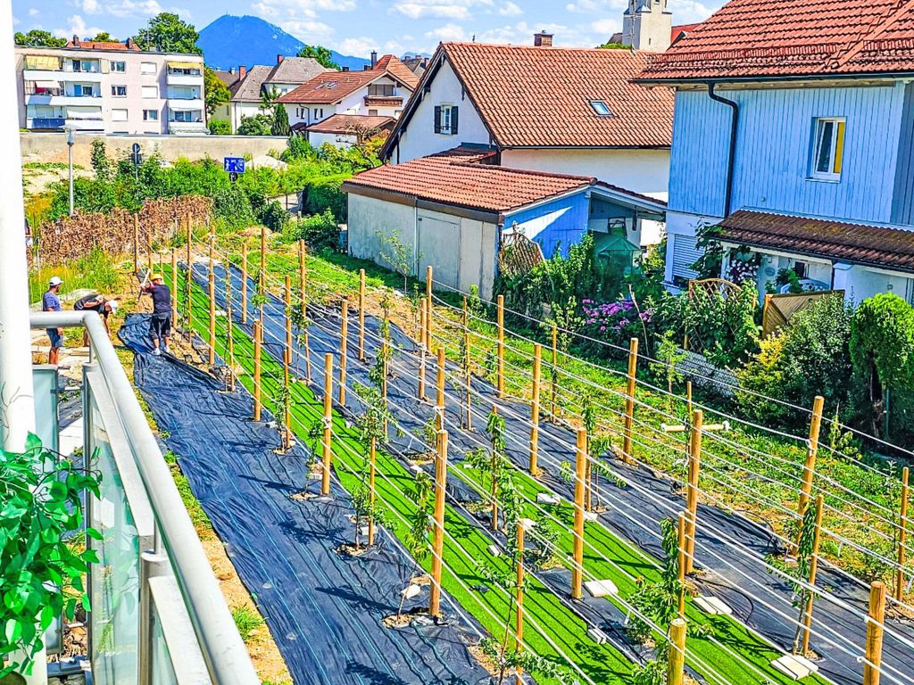 1OG mitte helle 70m 2 Zimmer Wohnung nähe Salzburg